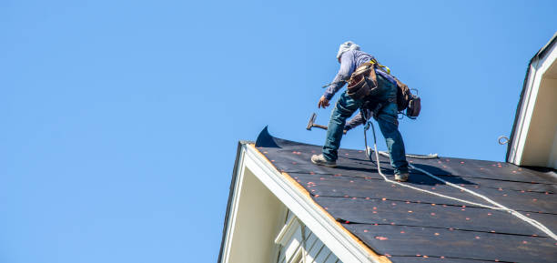 Best Sealant for Roof  in Wellsville, MO